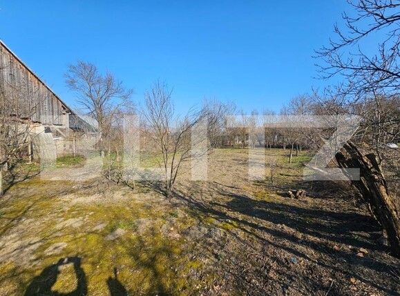 Casa de vânzare 4 camere Sancel - 190411CV | BLITZ Alba Iulia | Poza11