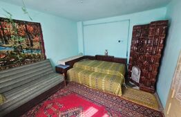 Casă 4 camere, teren generos de 3.800 mp,  Măgina, comuna Aiud 