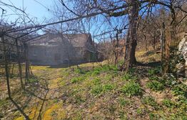 Casă 4 camere, teren generos de 3.800 mp,  Măgina, comuna Aiud 