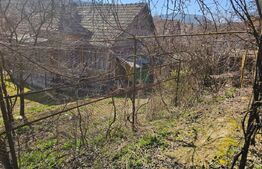 Casă 4 camere, teren generos de 3.800 mp,  Măgina, comuna Aiud 