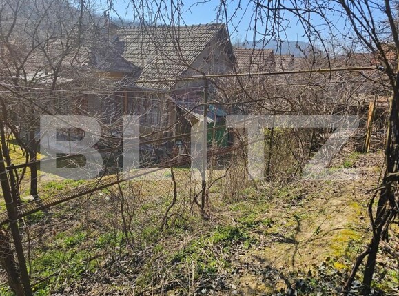 Casa de vânzare 4 camere Magina - 190412CV | BLITZ Alba Iulia | Poza3