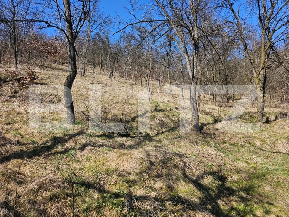 Casa de vânzare 4 camere Magina - 190412CV | BLITZ Alba Iulia | Poza5