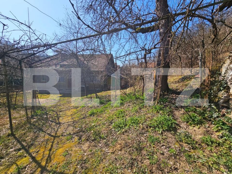 Casa de vânzare 4 camere Magina - 190412CV | BLITZ Alba Iulia | Poza4