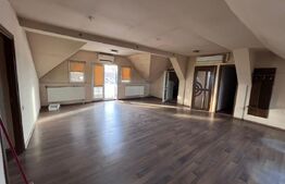 Casă de inchiriat 345mp utili, teren 1.342mp cu potential comercial.