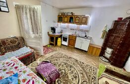 Casă în Cetea, 2 camere, 72 mp utili, teren 793 mp