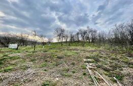 Casă în Cetea, 2 camere, 72 mp utili, teren 793 mp