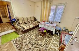 Casă în Cetea, 2 camere, 72 mp utili, teren 793 mp