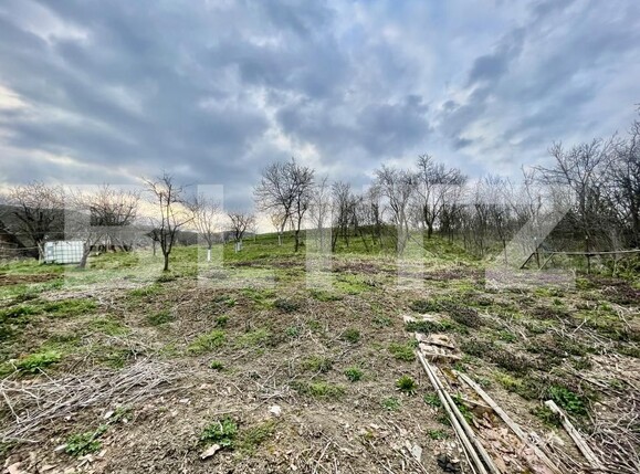 Casa de vânzare 2 camere Galda de Jos - 190828CV | BLITZ Alba Iulia | Poza7