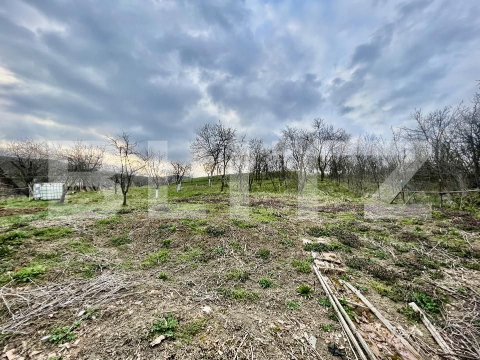 Casa de vânzare 2 camere Galda de Jos - 190828CV | BLITZ Alba Iulia | Poza7