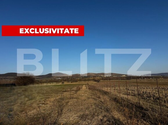 Teren de vânzare Micești - 190839TV | BLITZ Alba Iulia | Poza5