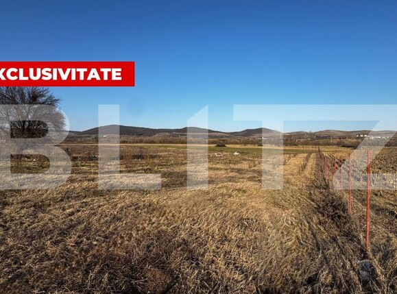 Teren de vânzare Micești - 190839TV | BLITZ Alba Iulia | Poza3