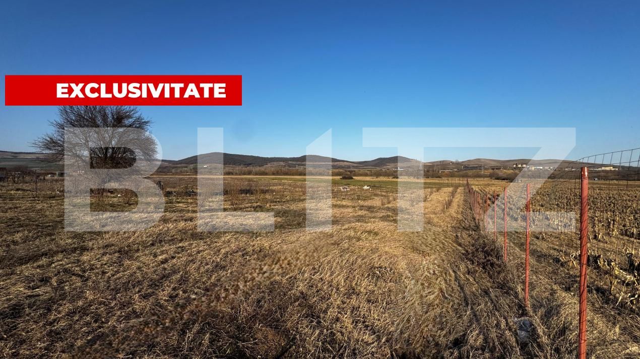 Teren de vânzare Micești - 190839TV | BLITZ Alba Iulia | Poza3