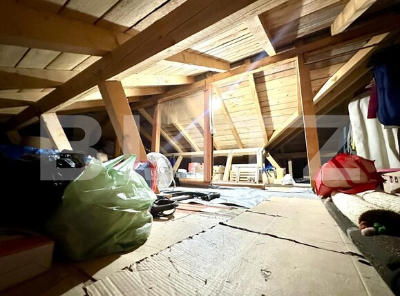 Casa de vânzare 3 camere Vinţu de Jos - 191008CV | BLITZ Alba Iulia | Poza14