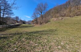 Casă cu teren generos 6.820 mp, lângă pădure și râu – Almașu Mare