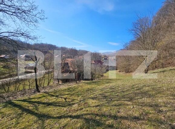 Casa de vânzare 3 camere Almasu Mare - 191110CV | BLITZ Alba Iulia | Poza10