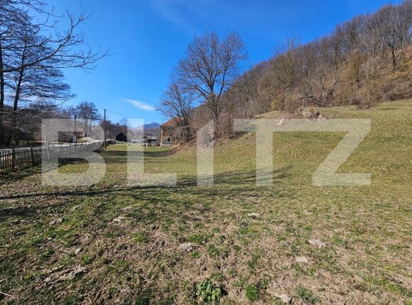 Casa de vânzare 3 camere Almasu Mare - 191110CV | BLITZ Alba Iulia | Poza5