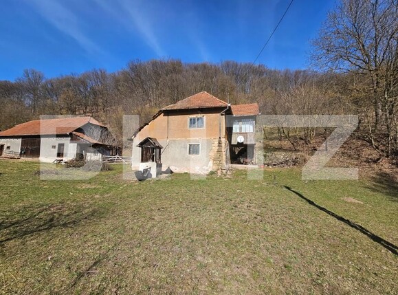 Casa de vânzare 3 camere Almasu Mare - 191110CV | BLITZ Alba Iulia | Poza2