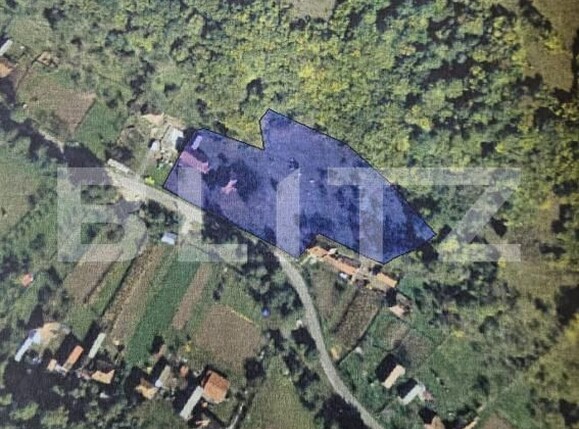 Casa de vânzare 3 camere Almasu Mare - 191110CV | BLITZ Alba Iulia | Poza11