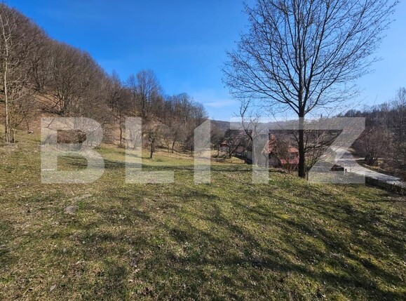 Casa de vânzare 3 camere Almasu Mare - 191110CV | BLITZ Alba Iulia | Poza7