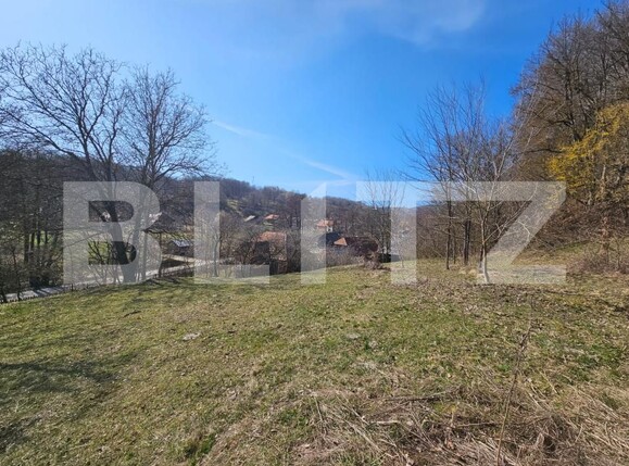 Casa de vânzare 3 camere Almasu Mare - 191110CV | BLITZ Alba Iulia | Poza6