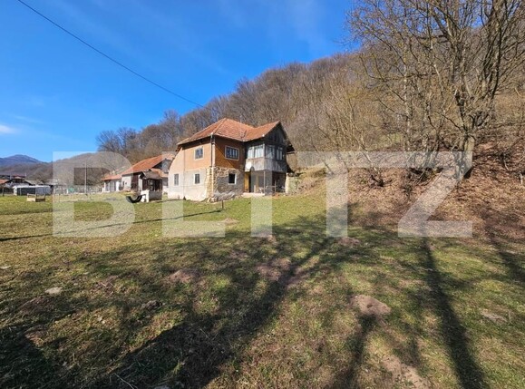 Casa de vânzare 3 camere Almasu Mare - 191110CV | BLITZ Alba Iulia | Poza1