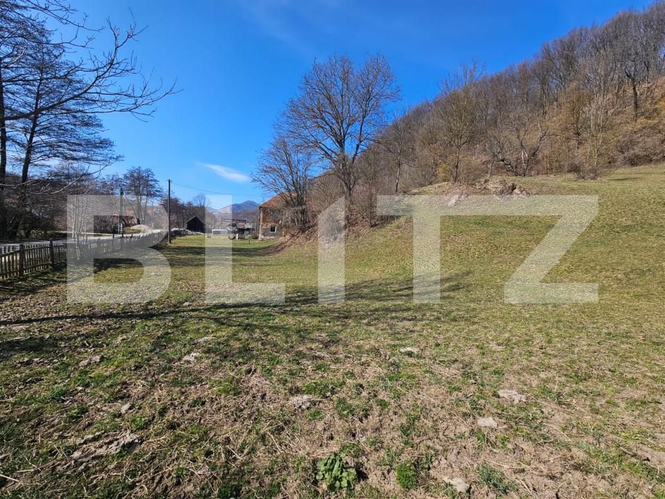 Casa de vânzare 3 camere Almasu Mare - 191110CV | BLITZ Alba Iulia | Poza5