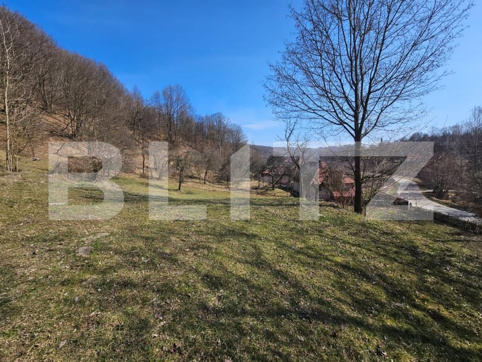 Casa de vânzare 3 camere Almasu Mare - 191110CV | BLITZ Alba Iulia | Poza7