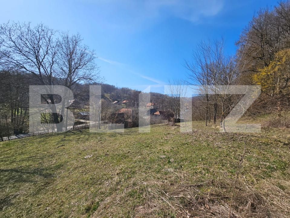 Casa de vânzare 3 camere Almasu Mare - 191110CV | BLITZ Alba Iulia | Poza6