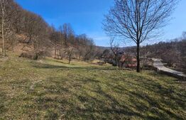 Teren intravilan 6.820 mp cu casă, pădure și râu – Almașu Mare