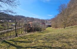 Teren intravilan 6.820 mp cu casă, pădure și râu – Almașu Mare