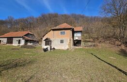 Teren intravilan 6.820 mp cu casă, pădure și râu – Almașu Mare