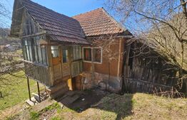 Teren intravilan 6.820 mp cu casă, pădure și râu – Almașu Mare