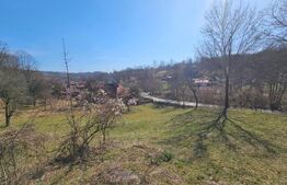 Teren intravilan 6.820 mp cu casă, pădure și râu – Almașu Mare