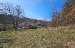 Teren intravilan 6.820 mp cu casă, pădure și râu – Almașu Mare