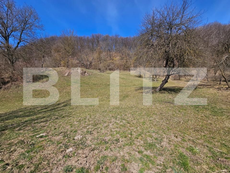 Teren de vânzare Almasu Mare - 191111TV | BLITZ Alba Iulia | Poza5