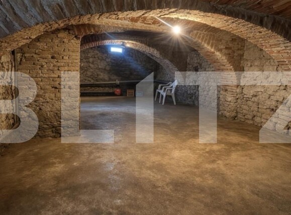 Casa de vânzare 4 camere Sebeș - 191207CV | BLITZ Alba Iulia | Poza9