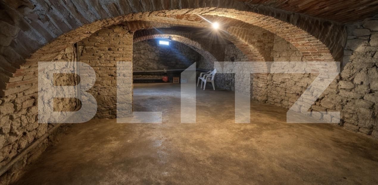 Casa de vânzare 4 camere Sebeș - 191207CV | BLITZ Alba Iulia | Poza9