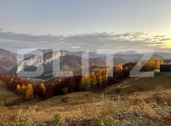 Teren de vânzare Ponorel - 191224TV | BLITZ Alba Iulia | Poza3