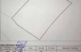 Teren intravilan de 1000mp – Ocnișoara, Lopadea Nouă