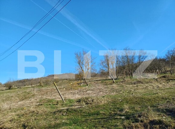 Teren de vânzare Ocnisoara - 191241TV | BLITZ Alba Iulia | Poza1