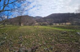 Teren intravilan generos de 4000 mp, cu priveliște montană, Cugir