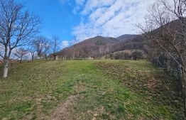 Teren intravilan generos de 4000 mp, cu priveliște montană, Cugir