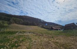 Teren intravilan generos de 4000 mp, cu priveliște montană, Cugir