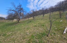 Teren intravilan generos de 4000 mp, cu priveliște montană, Cugir