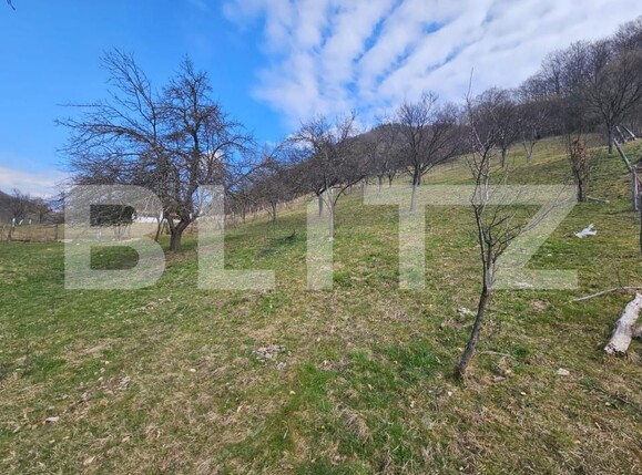 Teren de vânzare Cugir - 191297TV | BLITZ Alba Iulia | Poza4