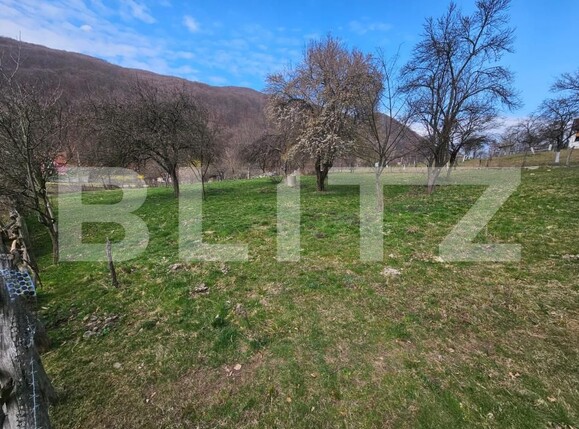 Teren de vânzare Cugir - 191297TV | BLITZ Alba Iulia | Poza1