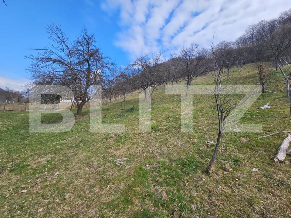 Teren de vânzare Cugir - 191297TV | BLITZ Alba Iulia | Poza3