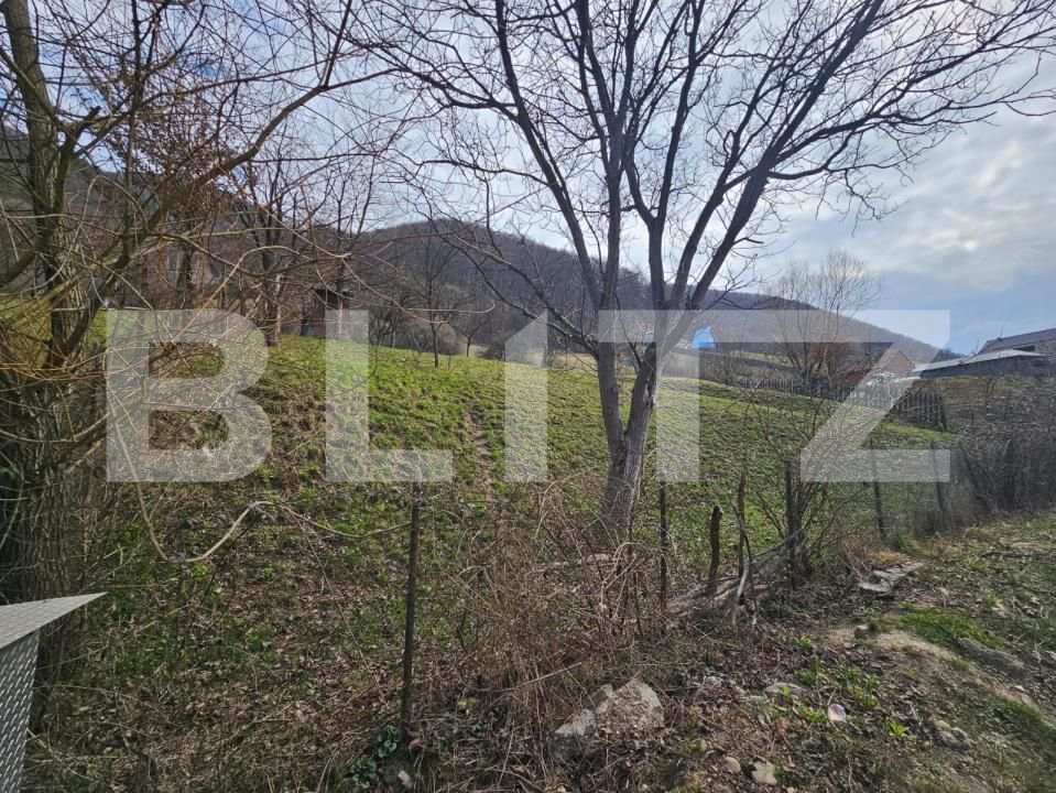 Teren de vânzare Cugir - 191297TV | BLITZ Alba Iulia | Poza5
