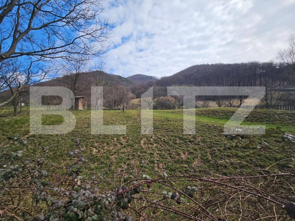 Teren de vânzare Cugir - 191297TV | BLITZ Alba Iulia | Poza2