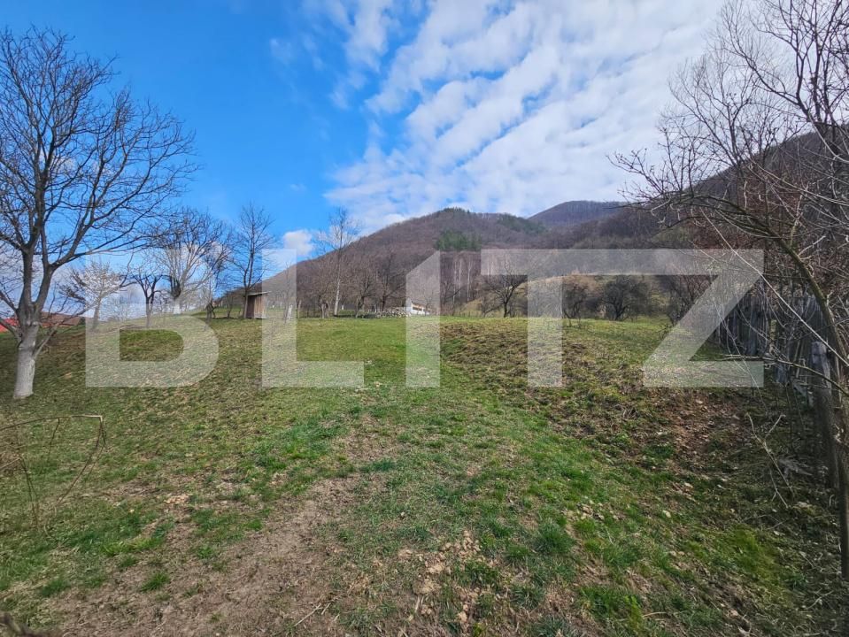 Teren de vânzare Cugir - 191297TV | BLITZ Alba Iulia | Poza5